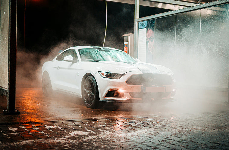 Dealerships & Auctions