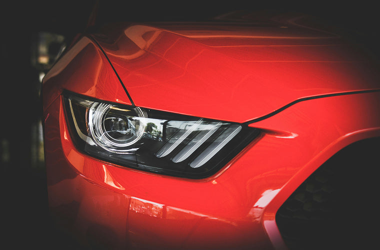 Dealerships & Auctions