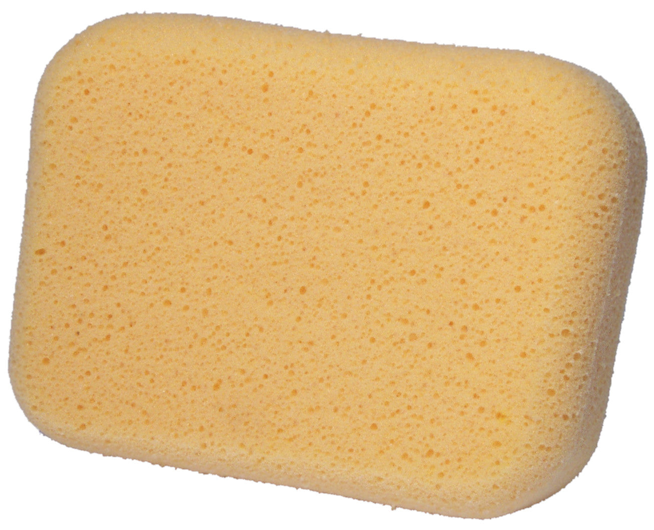 Jumbo Sponge